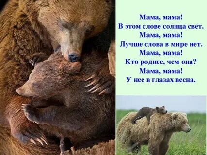 Мама верное слово