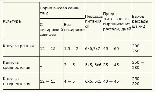 Когда сеять раннюю капусту в 2024 году. Норма высева капусты белокочанной. Норма высева семян. Норма посадки капусты. Норма рассады капусты на 1 га.