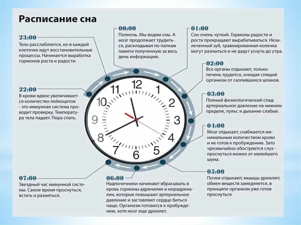 Работа с 6 вечера. Часы сна. Самые полезные часы для сна. Самые полезные часы СНК. Время сна.