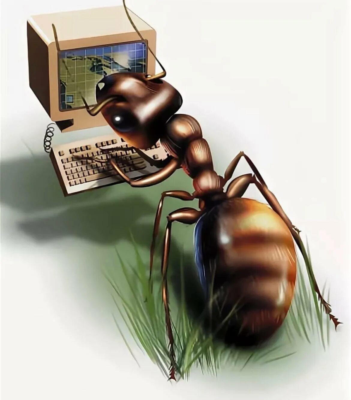 Computer flies