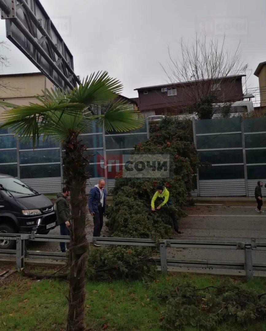 Упала сочи. Люди на улицах сочи. 2022 упало дерево сочи. Оползень. Дорога в сочи.