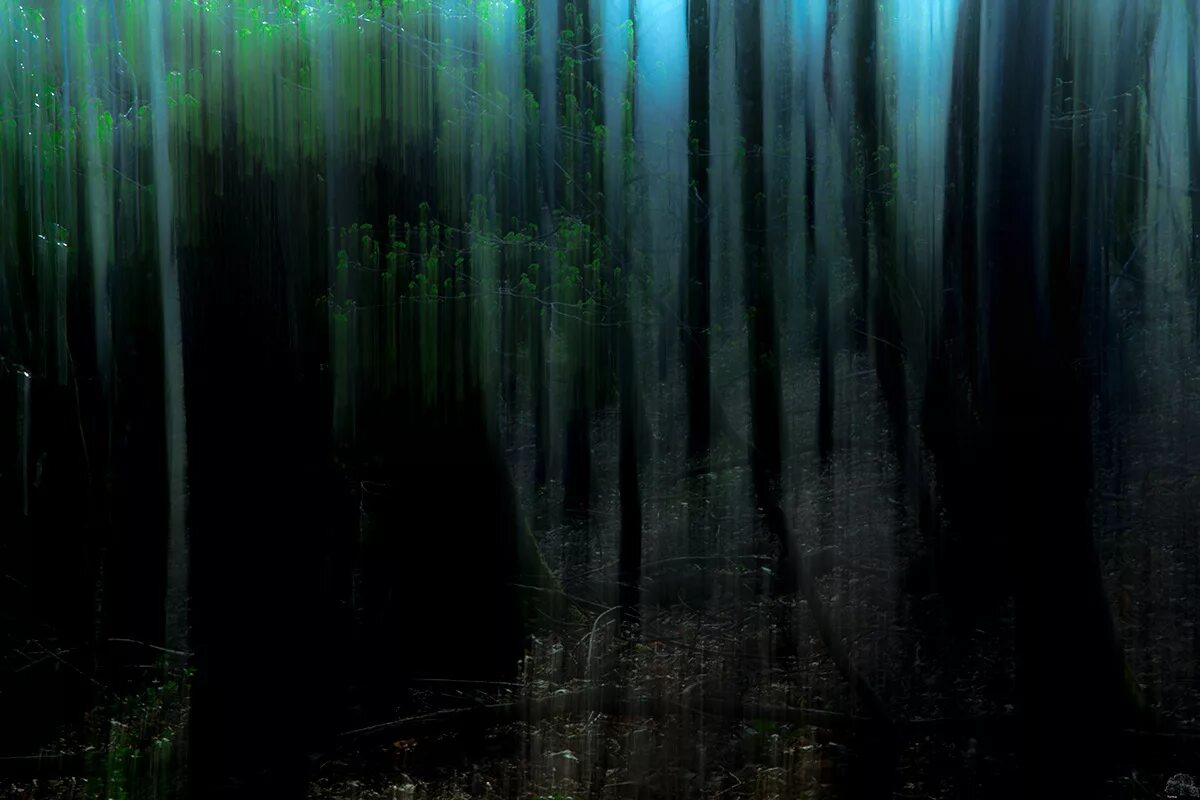 Абстракция природа. Лесная абстракция. Фото абстракция природа. Абстрактный лес. Лес абстракция.