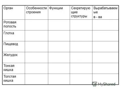 Органы пищеварения у простейших таблица