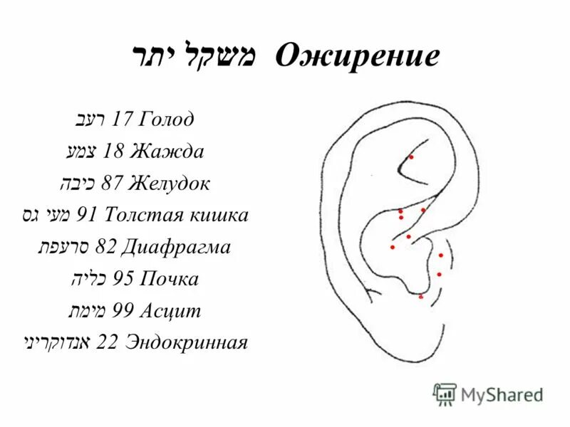 где находится точка голода. акупунктурные точки на ухе для снижения аппетита. точки подавления голода на ухе. точки голода на козелке уха. акупунктурные точки на ушах для похудения.