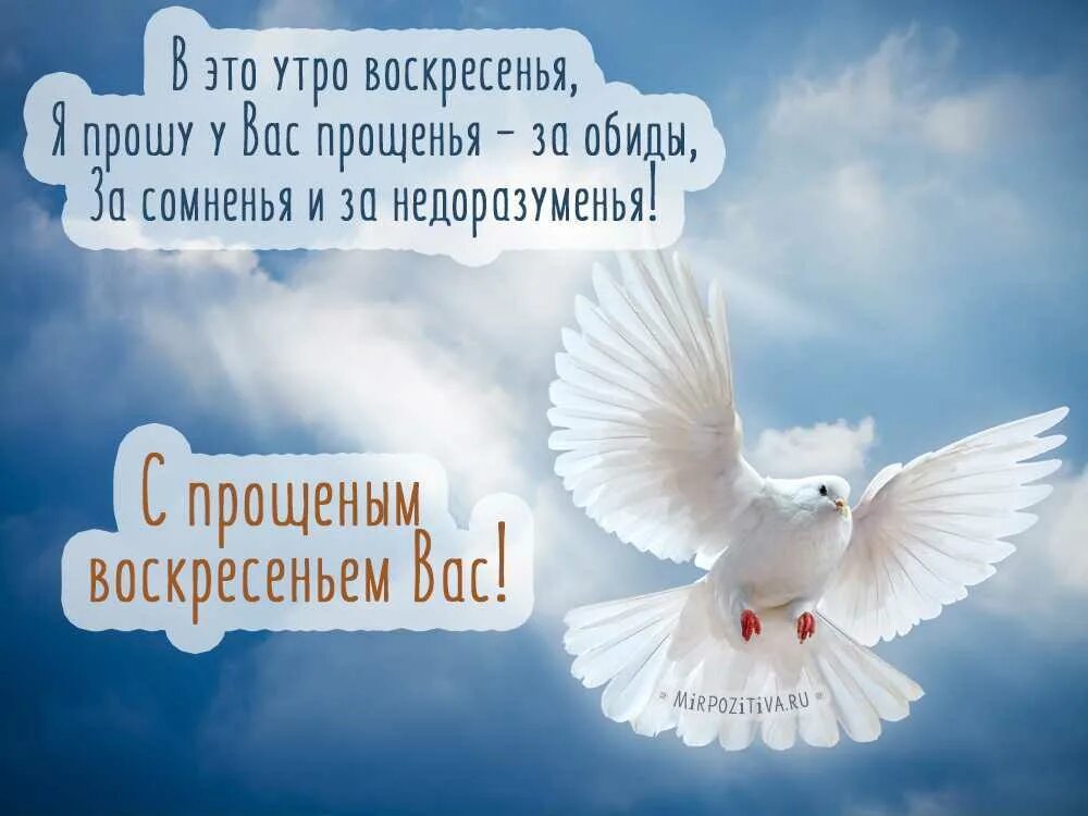 Тогда прошу прощения