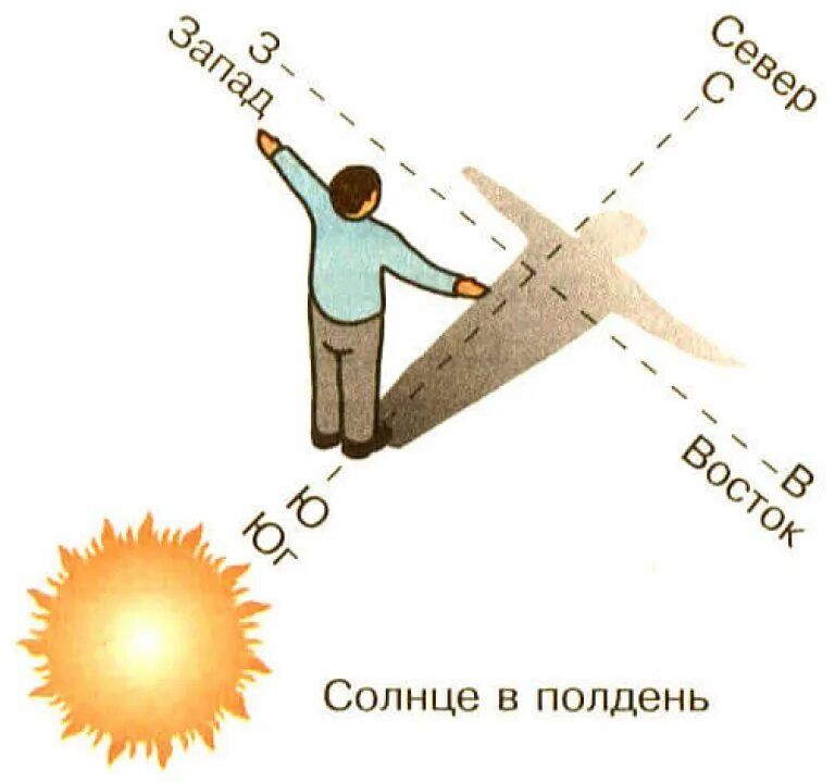 В 7 вечера где солнце. Ориентирование на местности по солнцу. Как определить стороны света по солнцу. Как ориентироваться по солнцу картинки. Как ориентироваться по солнцу в полдень.