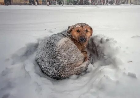 Я не один брошенный в холод