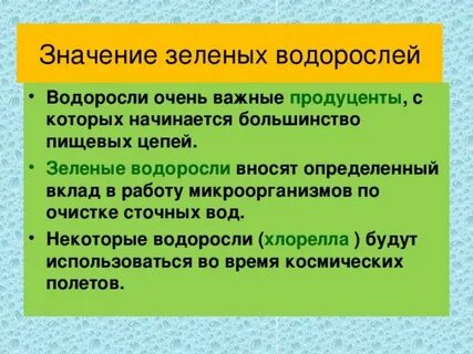 7 значение водорослей в жизни человека