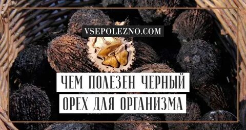 Черный орех польза