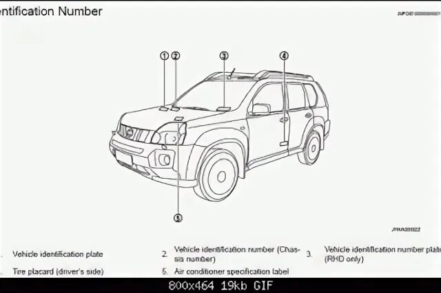 Номер кузова на Ниссан х Трейл. Вин на Ниссан х Трейл т31. Nissan x Trail t31 чертеж. Маркировочные таблички Ниссан х-Трейл т31.