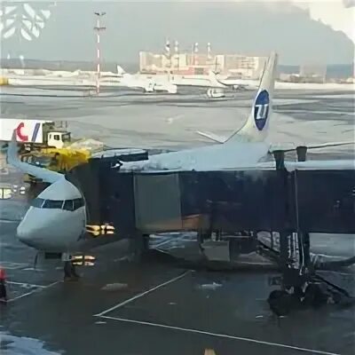 Рейс ut 715. Рейс ut 715