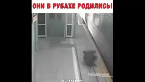 Всегда в рубашке родится