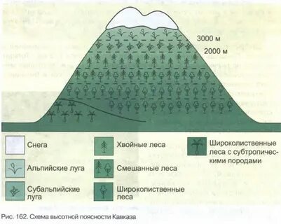 Высотная поясность кавказа