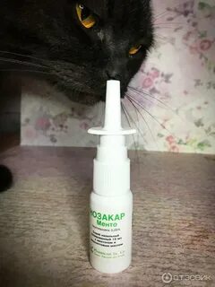 Нозакар