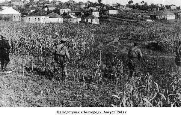 Освобожденный Белгород 1943. Город Белгород 1943. Белгород 1943 год фото. Белгород 1943, эшафот. 5 августа 1943 года белгород