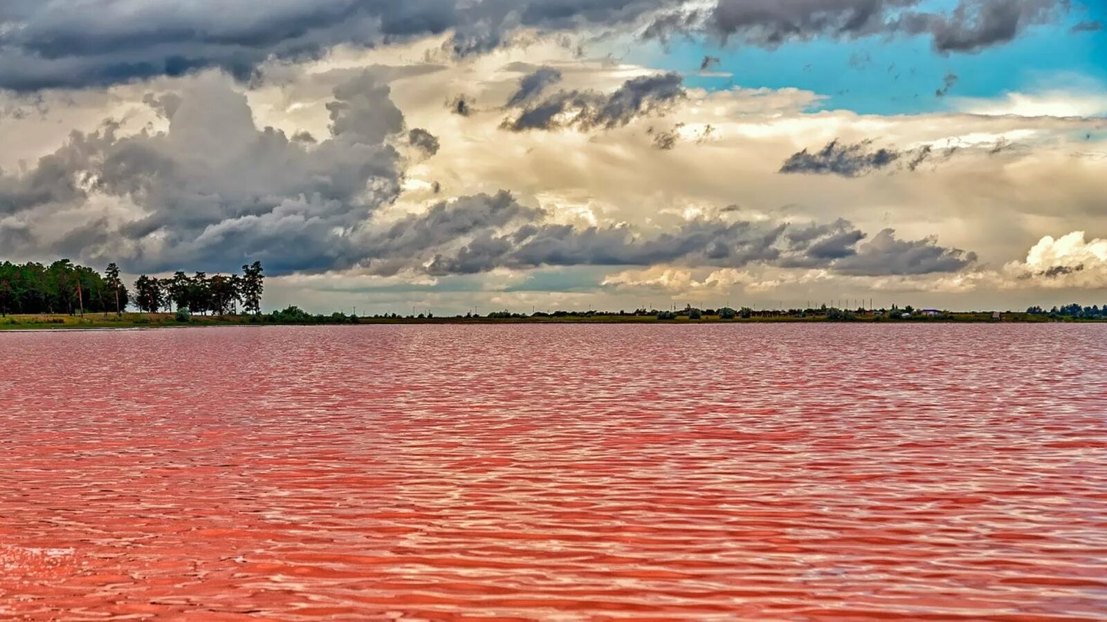 Озера алтайского края фото. Малиновое озеро Алтайский край Михайловский район. Малиновое озеро (Михайловский район). Розовое озеро Алтайский край Яровое. Бурлинское озеро Алтайский край.