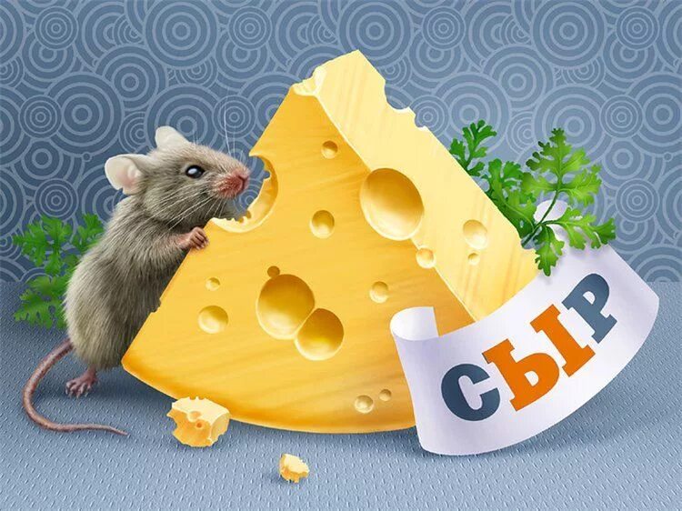 Мышь+сыр. Мышка с сыром. Мышь с куском сыра. Кусочек сыра для мышки. Про мышей и сыр