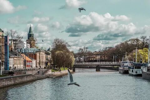 Турку картинки