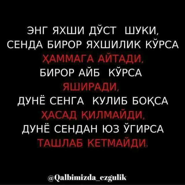 Dost sherlar