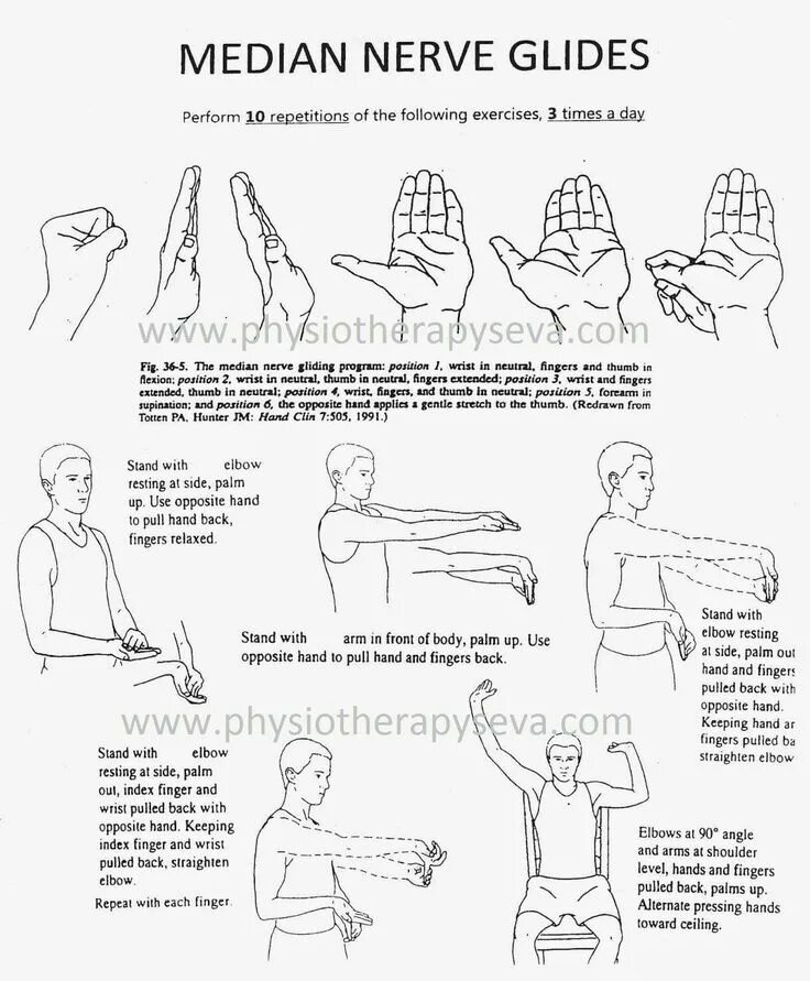 Nerve median Gliding. ЛФК лучезапястного сустава после перелома. Ulnar nerve Glides. Median nerve Glide.