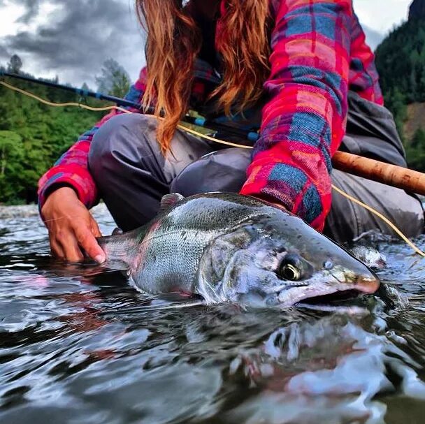 Like go fishing. Рыбак с форелью. Нахлыст. Рыбалка нахлыст. Ловля нахлыстом сёмги.