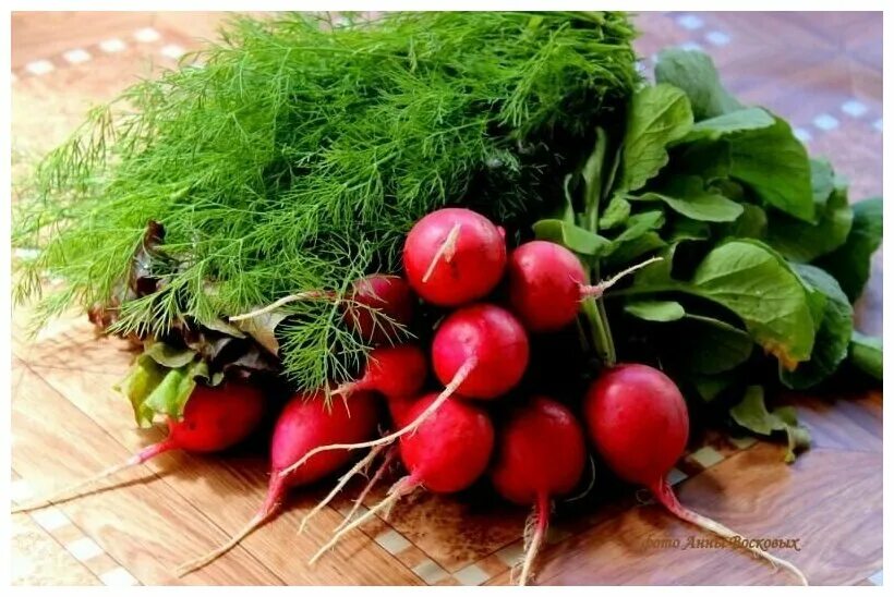 Зеленый редис. Редиска и петрушка. Зелень в огороде. Редис. Редиска зелень.