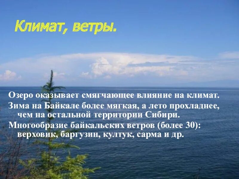 Климат озера Байкал. Ветра озера Байкал. Климат Байкала презентация. Влияние озера Байкал на климат Сибири.