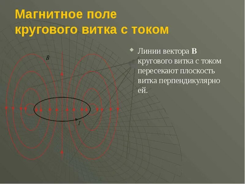 Магнитное поле кольцевого тока. Силовая картина магнитного поля кругового витка. Силовая картина магнитного поля кругового витка с током. Линии магнитной индукции поля. Направление линий магнитного поля витка с током.
