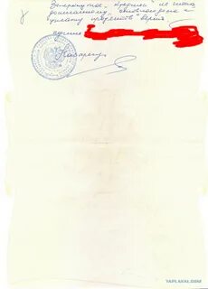 Нотариусом внесенным в