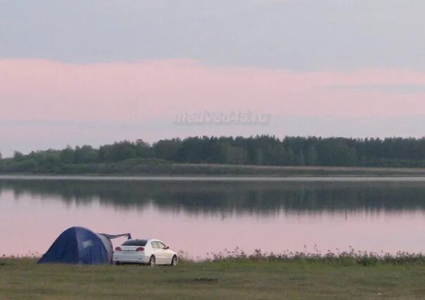 Медвежьи озера автобус. Озеро Медвежье Курганская область дикарями. Озеро Медвежье Курганская область палатки. Медвежье озеро в Курганской области ДС палатками. Озеро Медвежье Курганская область палаточный городок.