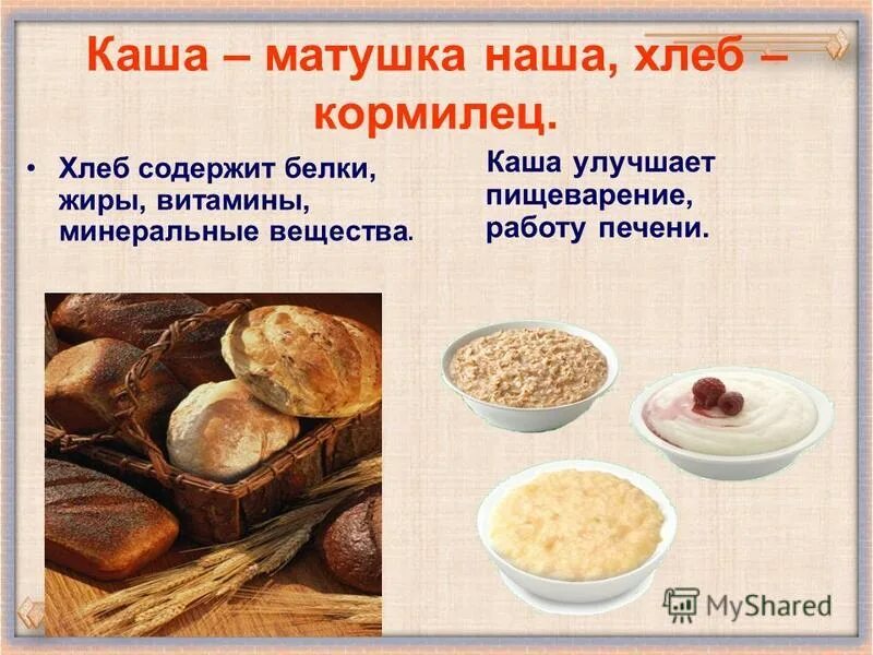 Пищеварение хлеба