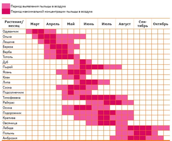 Концентрация пыльцы. Цветение аллергенов таблица. Таблица аллергии на цветение. Период цветения аллергенных растений. Поллиноз таблица цветения.