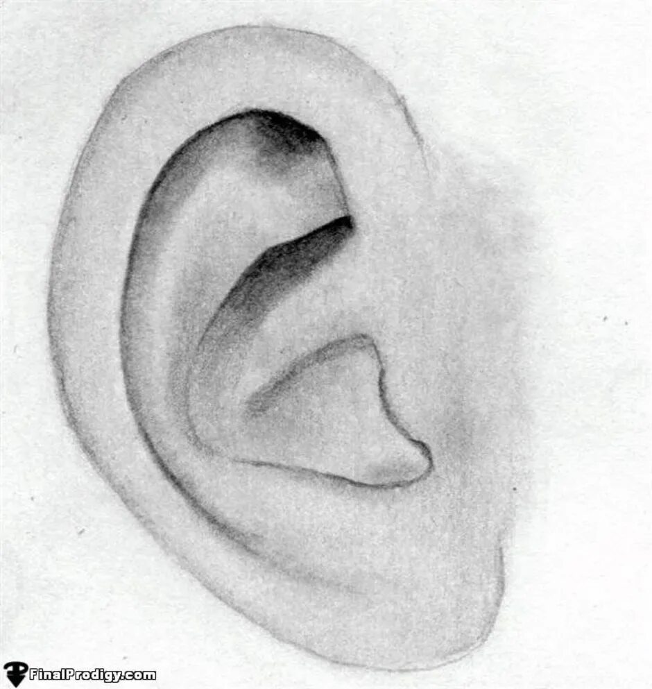 Уха поэтапно. Ухо карандашом. Рисунок уха человека. Зарисовки ушей карандашом. Ухо карандашом для начинающих.