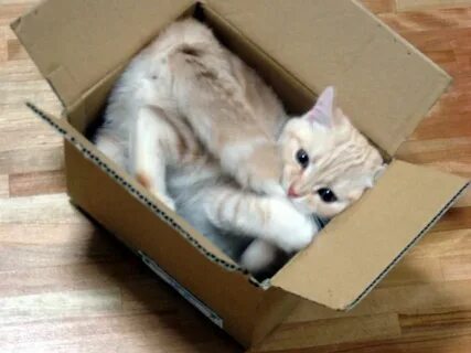 Коробка сатам