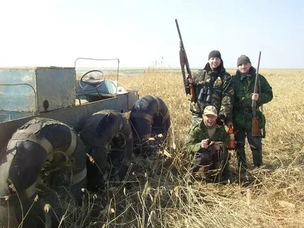 Погода в раисино