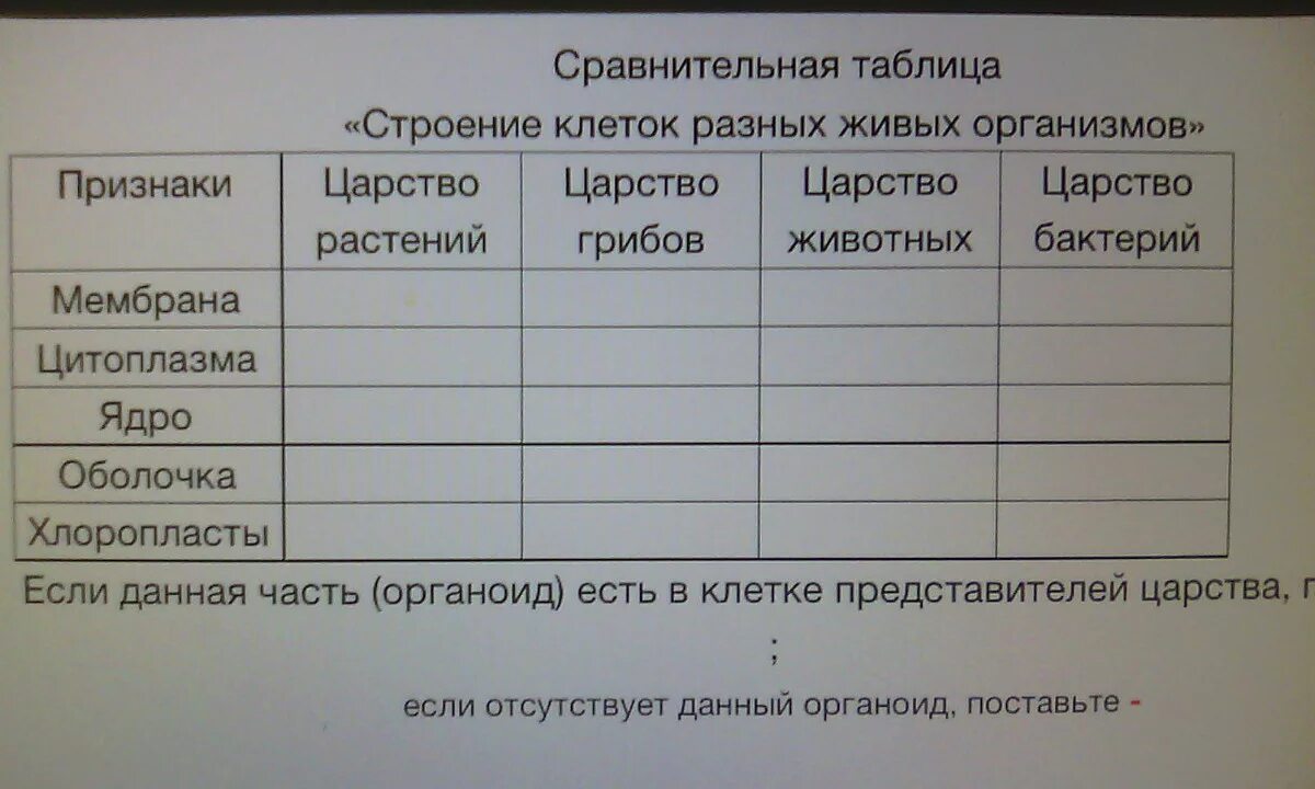 Заполнить таблицу сходство и различие. Сравнительная таблица клеток. Сравнение строения клеток различных организмов. Строение клеток организмов разных Царств. Сравнение клеток разных Царств.