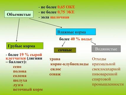 Сочные и концентрированные корма