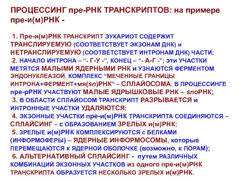 Процессинг. Процессинг пре РНК. Посттранскрипционный процессинг РНК.