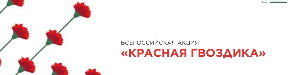 Дц красная гвоздика. Акция красная гвоздика. Акция красная гвоздика логотип. Всероссийская акция красная гвоздика. Акция красная гвоздика память поколений.