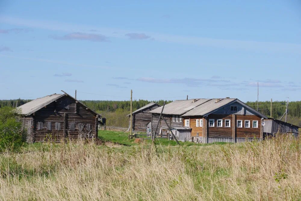 Труфанова архангельская область. Труфанова архангельская область. Труфанова архангельская область. Труфанова архангельская область. Деревня труфанова архангельская область.