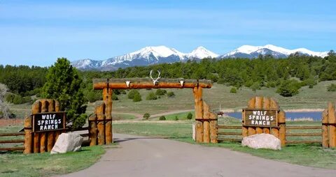 Wolf springs