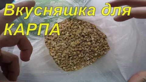 Комбикорм для карпа