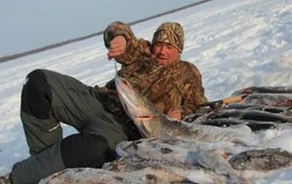 Клев в нижневартовске. Рыбалка в Нижневартовске. Рыба в Нижневартовске. Рыболовы Нижневартовск. Рыбалка в Нижневартовске в 2021.