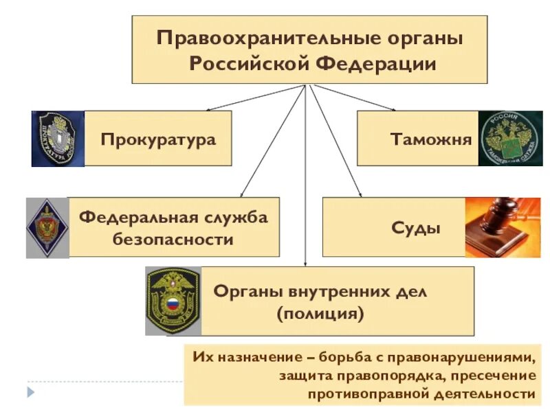 Органы внутренних дел рф правоохранительные органы