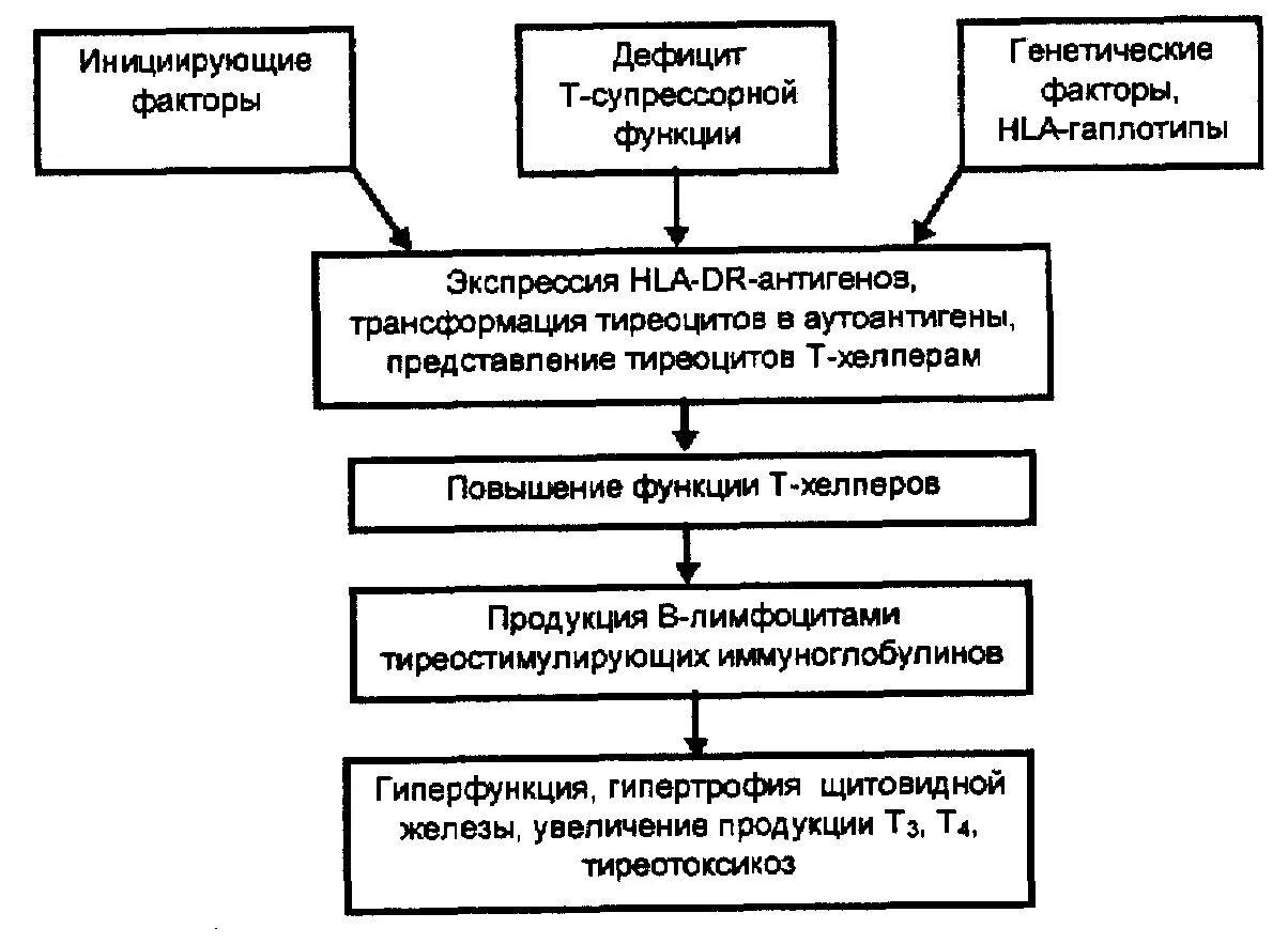 Механизм развития тахикардии при гипертиреозе. Гипертиреоз механизм развития. Синдромы при тиреотоксикозе. Классификация тиреотоксикоза по милку. Сердечная недостаточность при тиреотоксикозе.