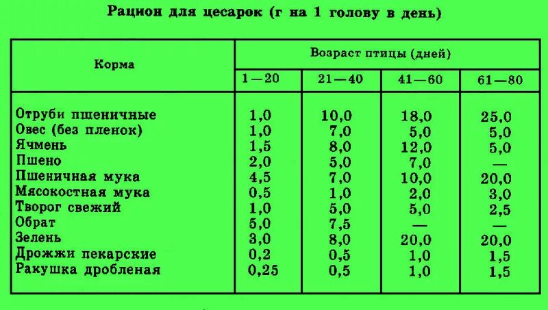 Норма кормов для индюков в сутки. Нормы корма для цесарят. Нормы корма для цесарок. Рацион кормления домашней птицы.