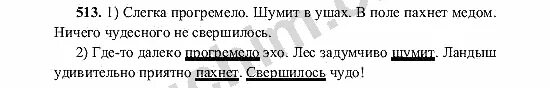 Русский язык 6 класс номер 513. Номер 513 по русскому. Русский язык 6 класс ладыженская номер 513.