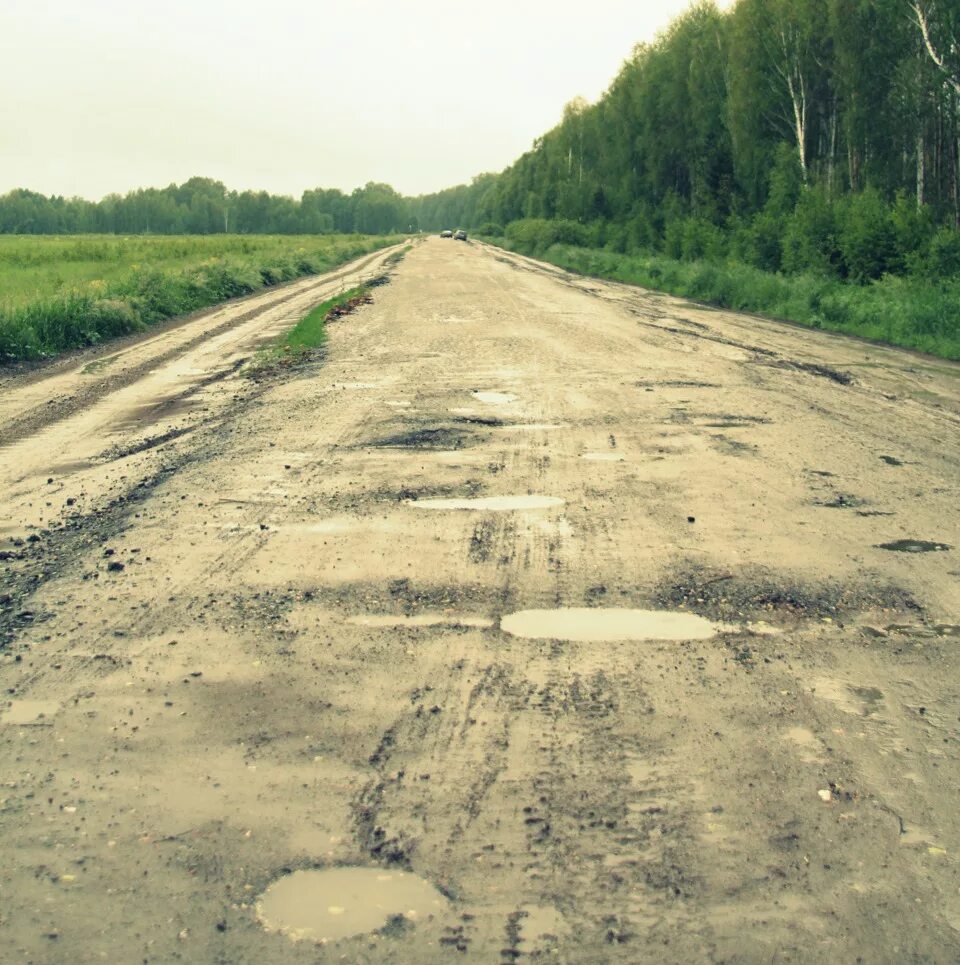 Даниловское озеро Омская. Данилово озеро Омская дорога. Озеро Данилово Муромцевский район Омская область. Данилова озеро Муромцевский район. Данилова озера омская