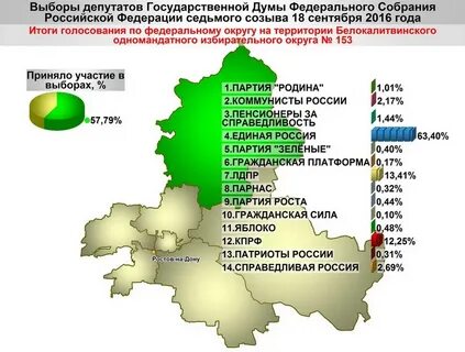 Выборы по федеральным избирательным округам