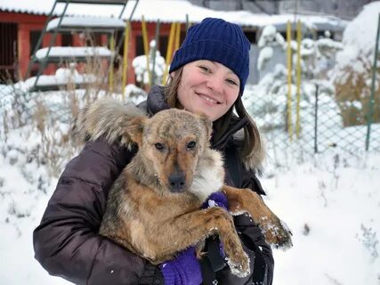 Сайт к 9 питомник